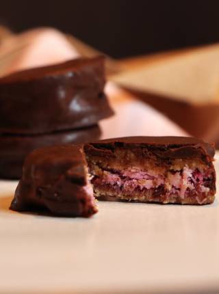 chocolate-coconut-raspberry cookie symbolic picture