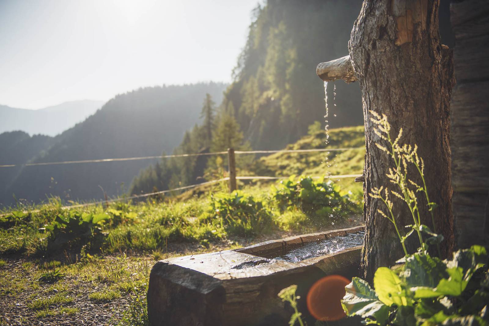 Bergquellwasser à la Moar Gut Symbolfoto