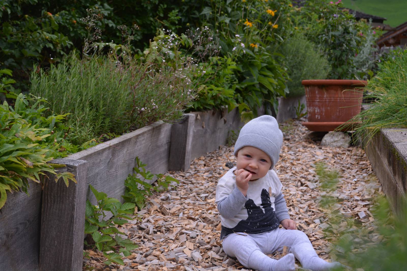 Wildkräuter erleben im Hotel Moar Gut  Symbolfoto