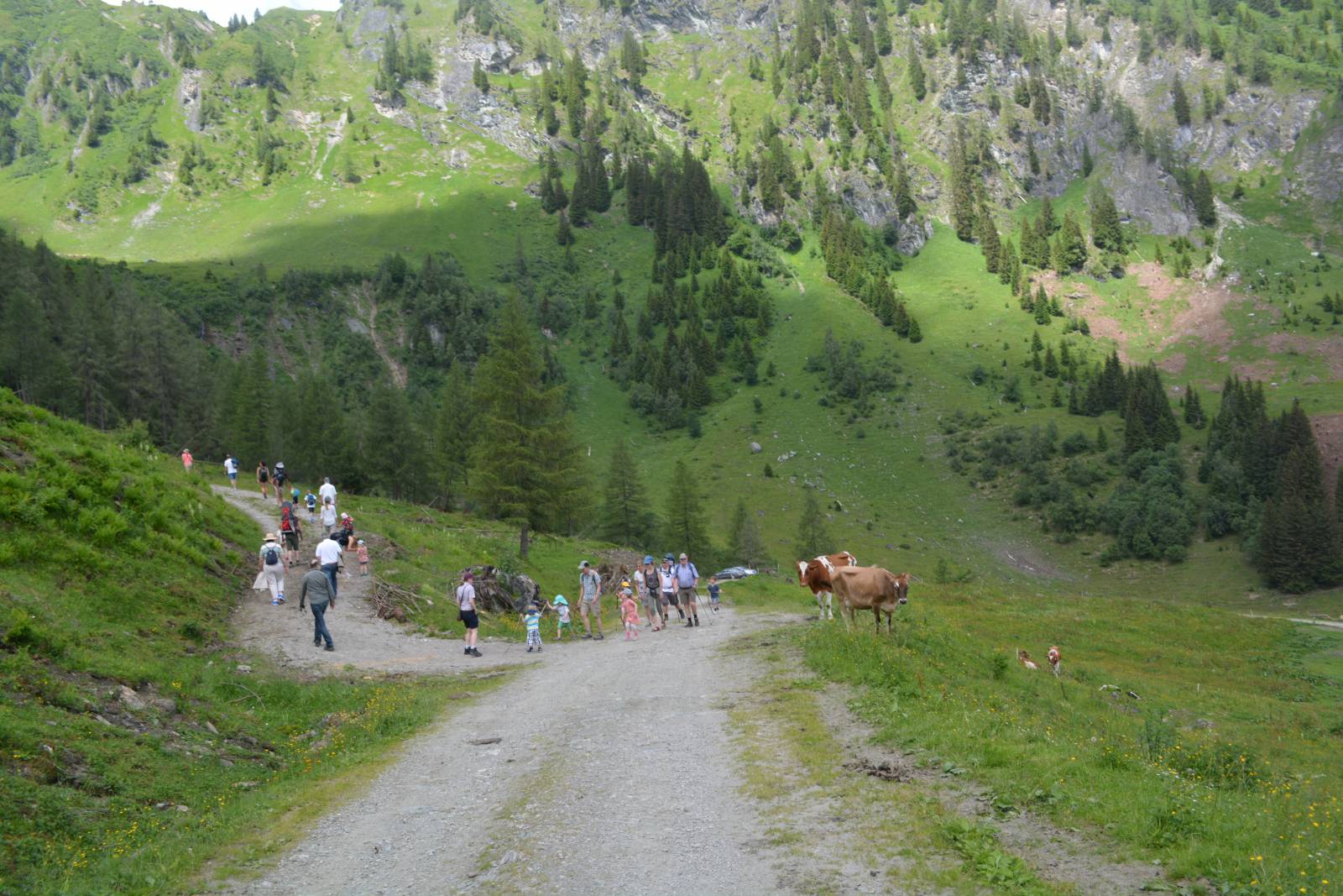 Familienwanderung zur Moar Gut Alm Symbolfoto