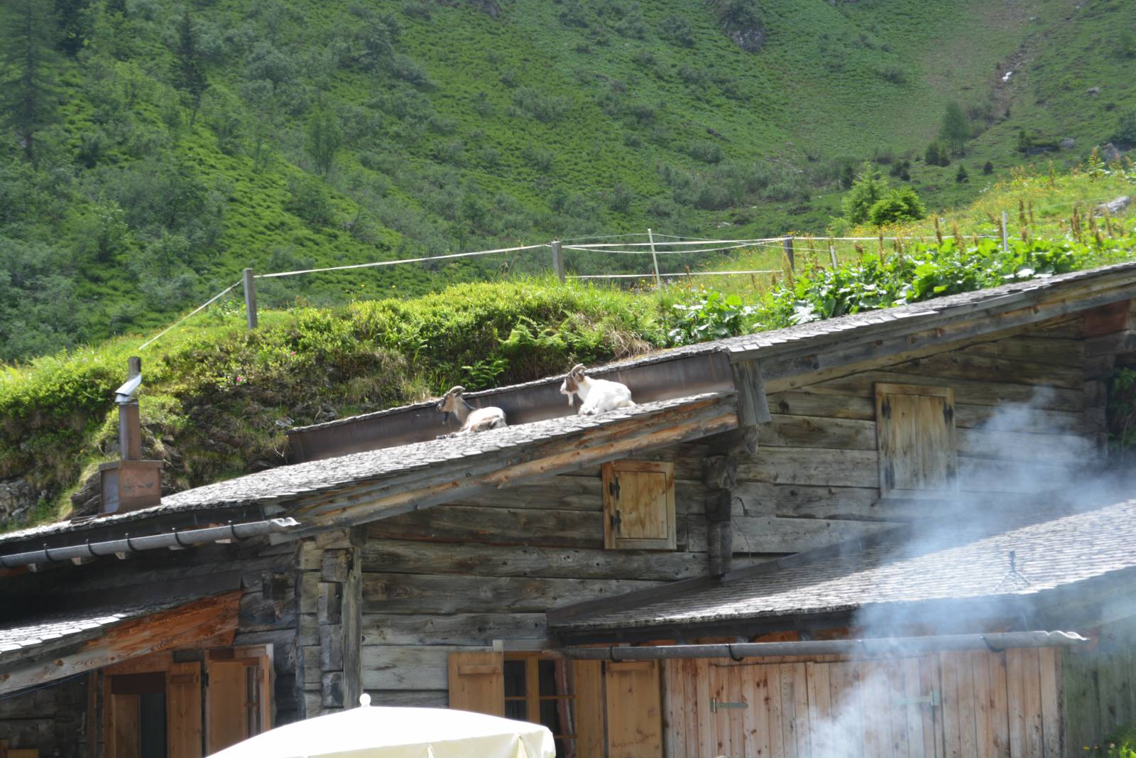 Familienwanderung zur Moar Gut Alm Symbolfoto