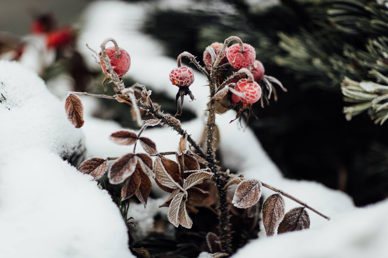 Jahresrückblick 2018 Symbolfoto