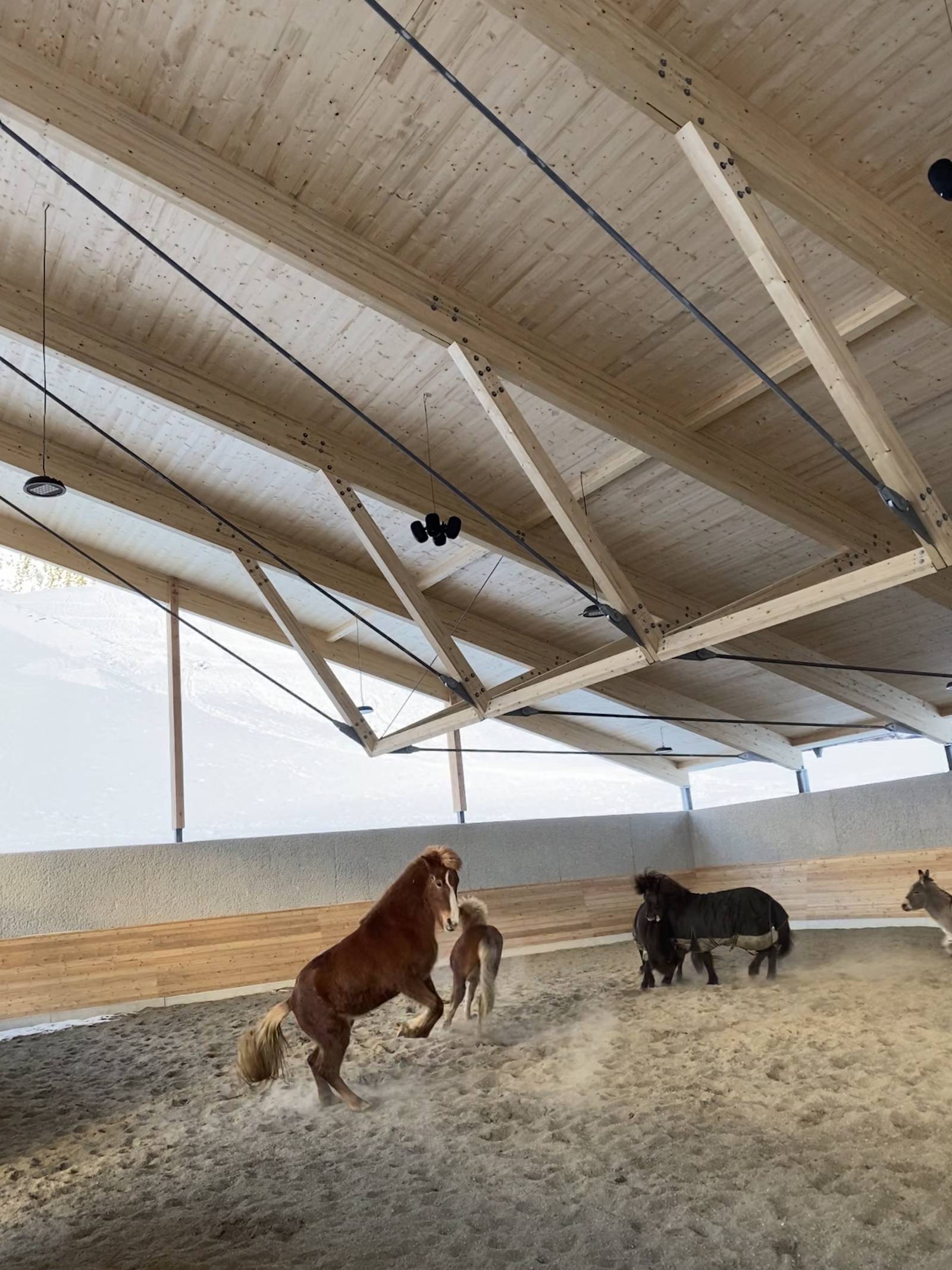 NEUE REITHALLE AM MOAR GUT Symbolfoto