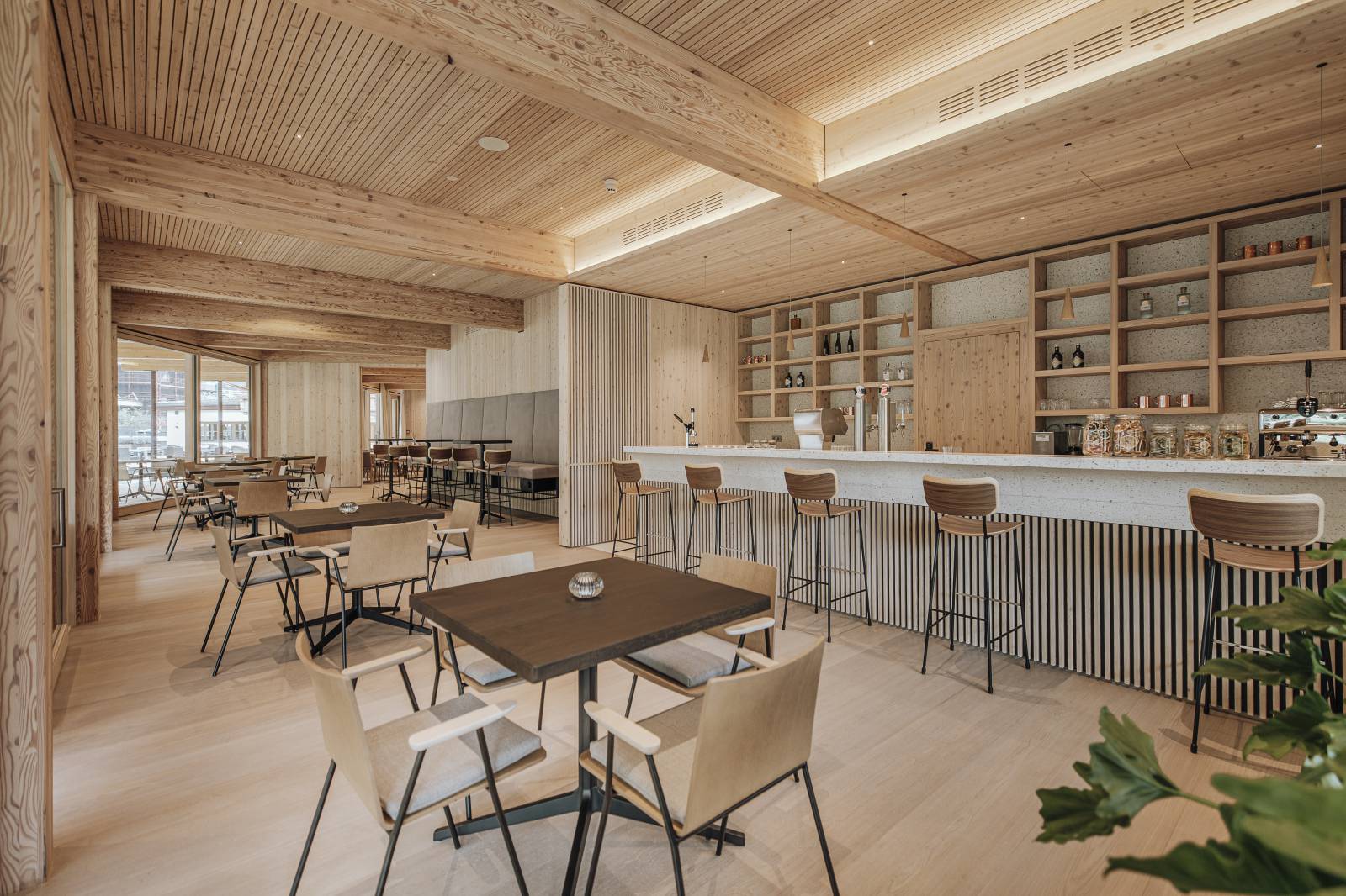 Märchenhafte Eröffnung Symbolfoto