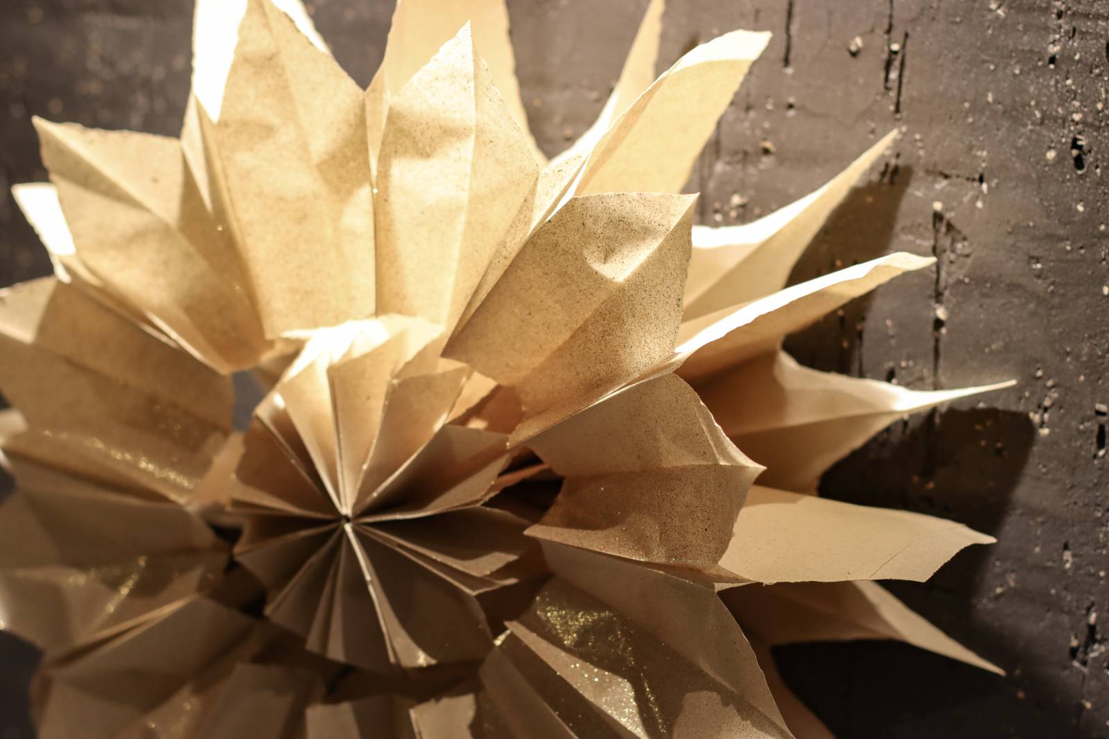 Zauberhafte Weihnachtssterne Symbolfoto