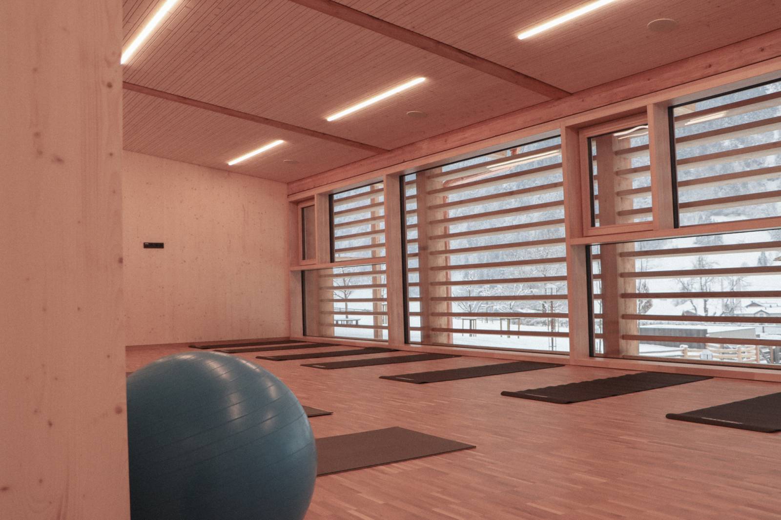 Neu am Moar Gut: FITNESS-STUDIO mit Bergpanorama Symbolfoto