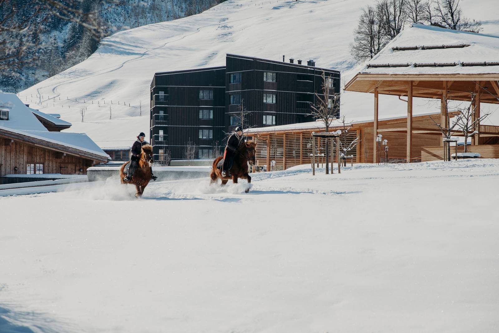 Reithalle mit schwebendem Dach Symbolfoto