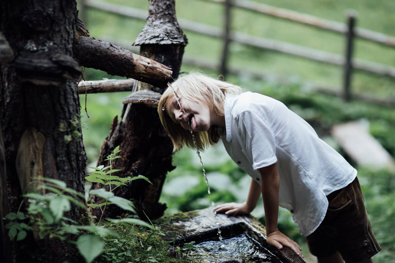 MOAR GOOD RECEIVES GREEN SIGN CERTIFICATE. symbolic picture