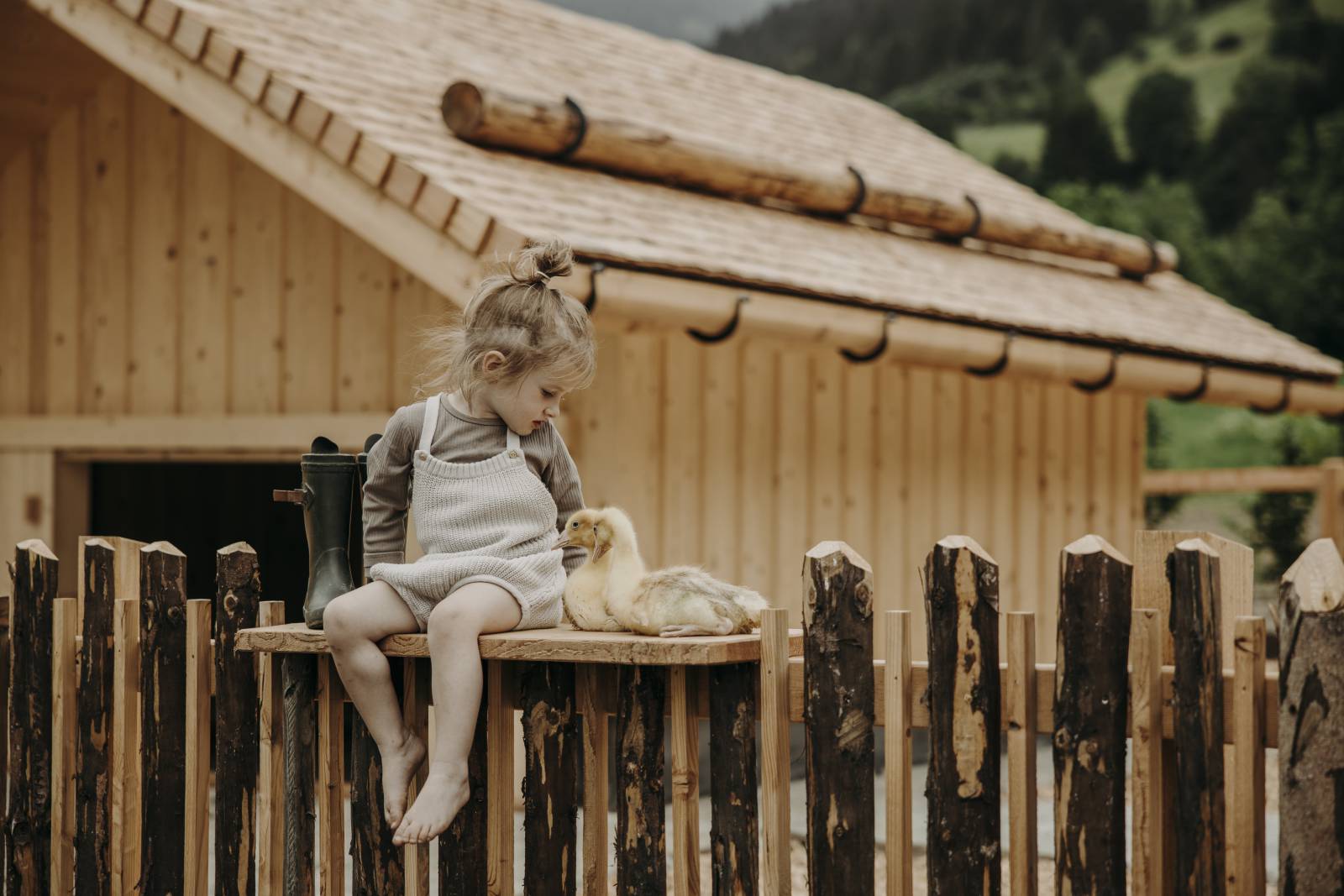 MOAR tierliebe! Symbolfoto