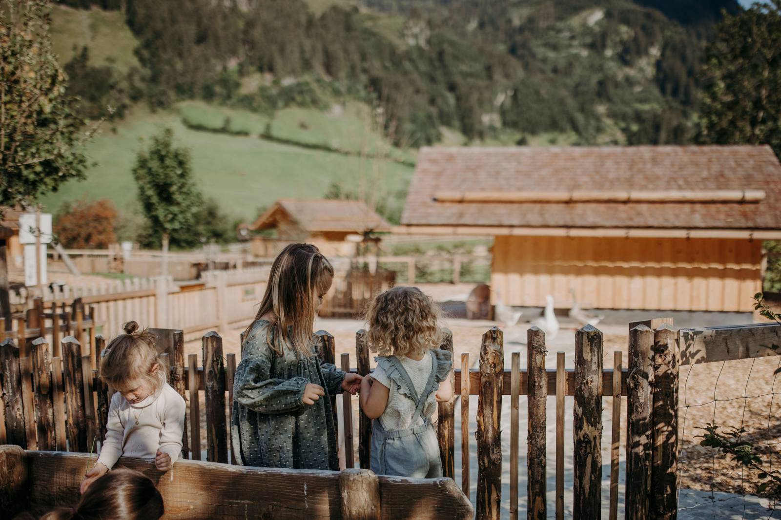 Small animal farm  symbolic picture