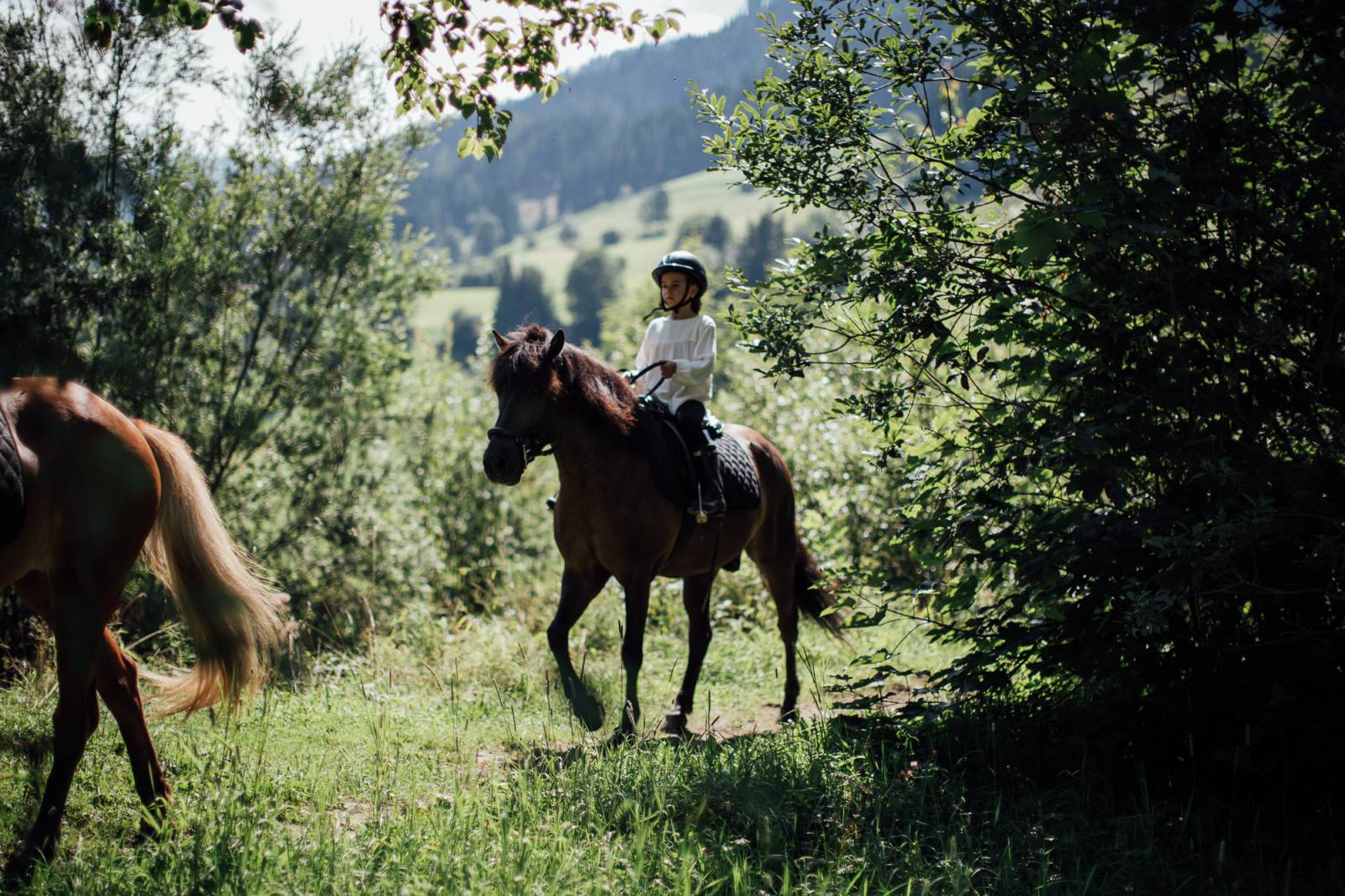Riding happiness at Moar Gut symbolic picture