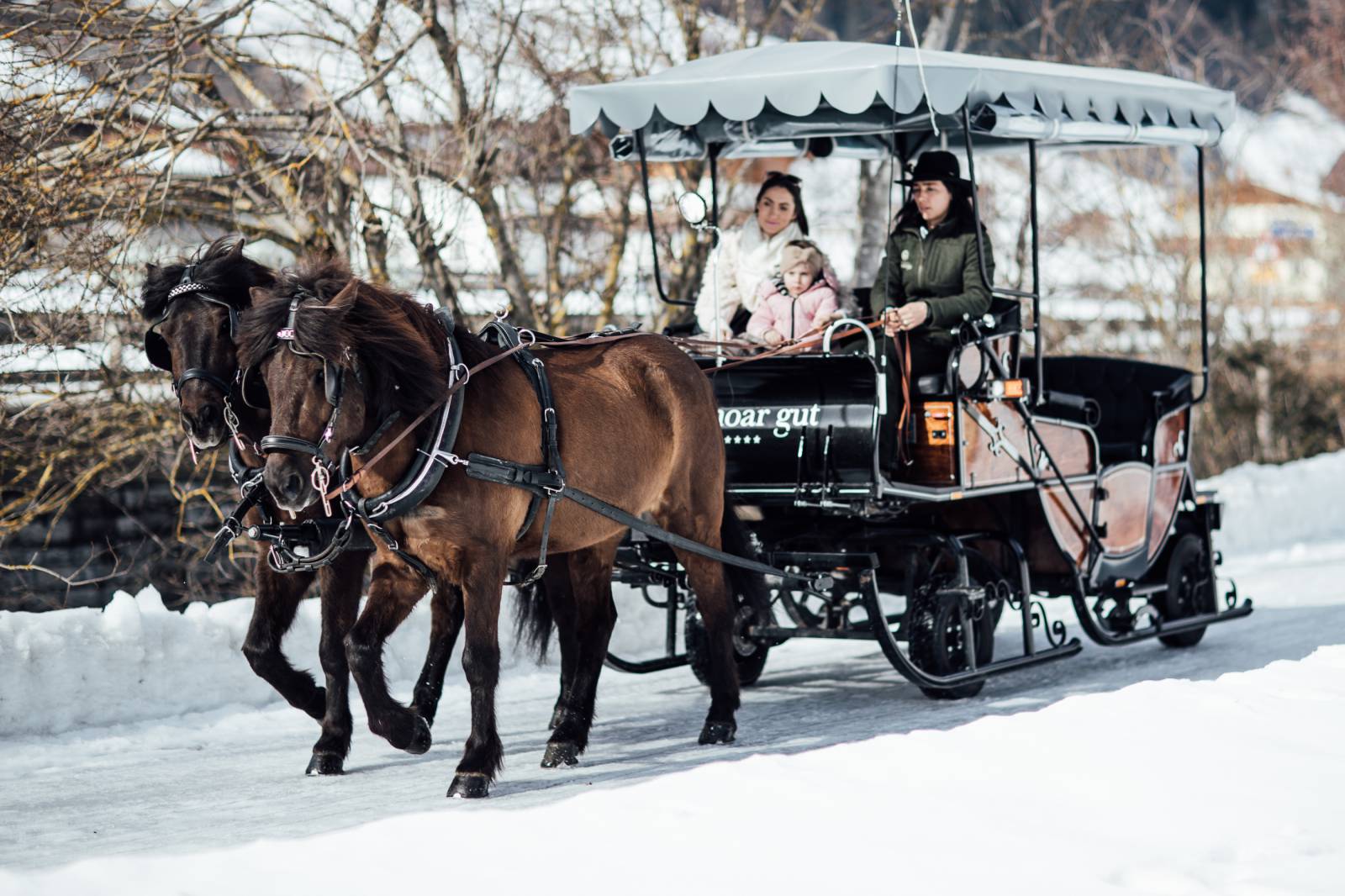 MOAR winter experiences symbolic picture