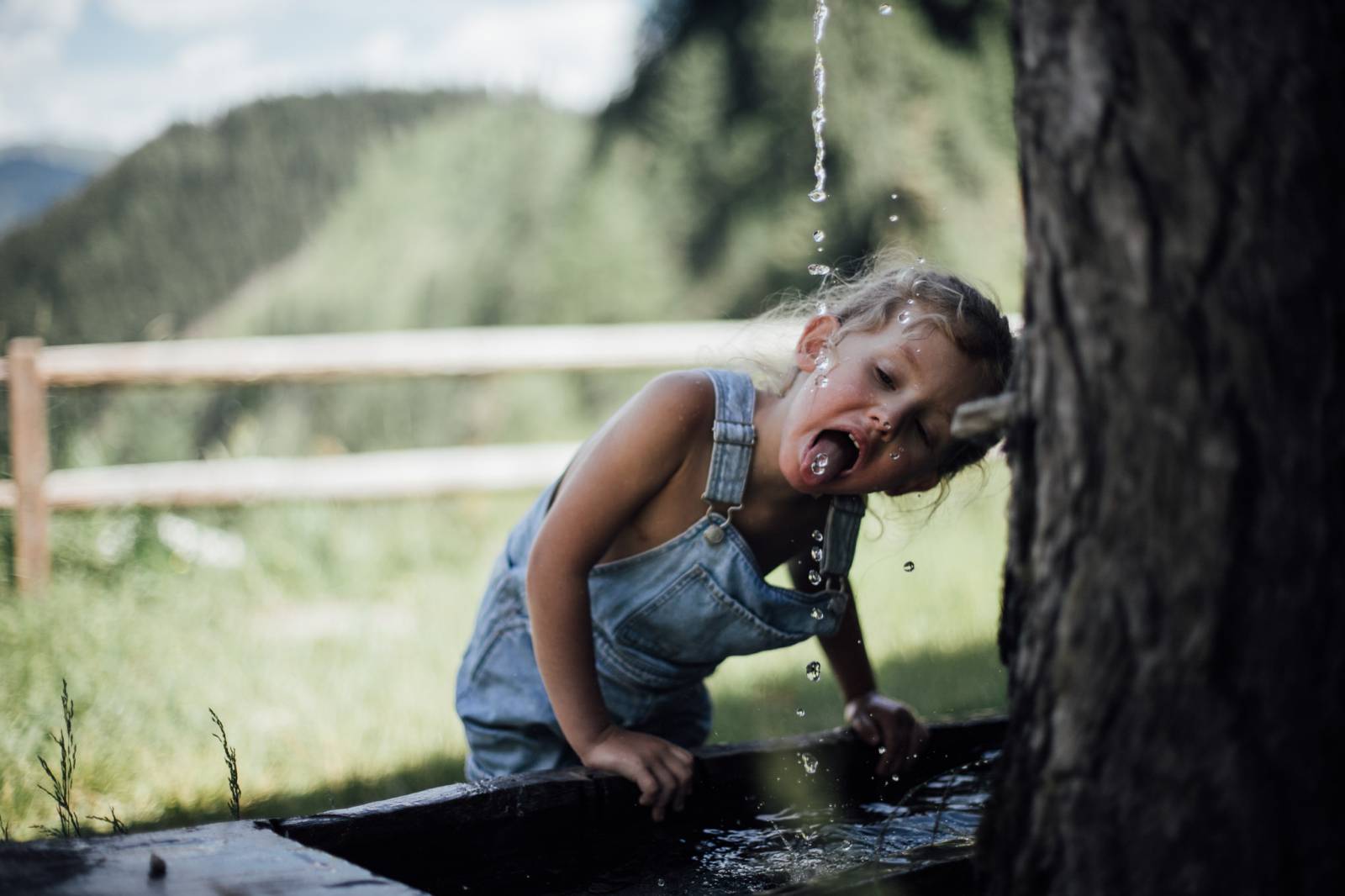 MOAR Alm - wo die Sterne zum Greifen nah sind Symbolfoto