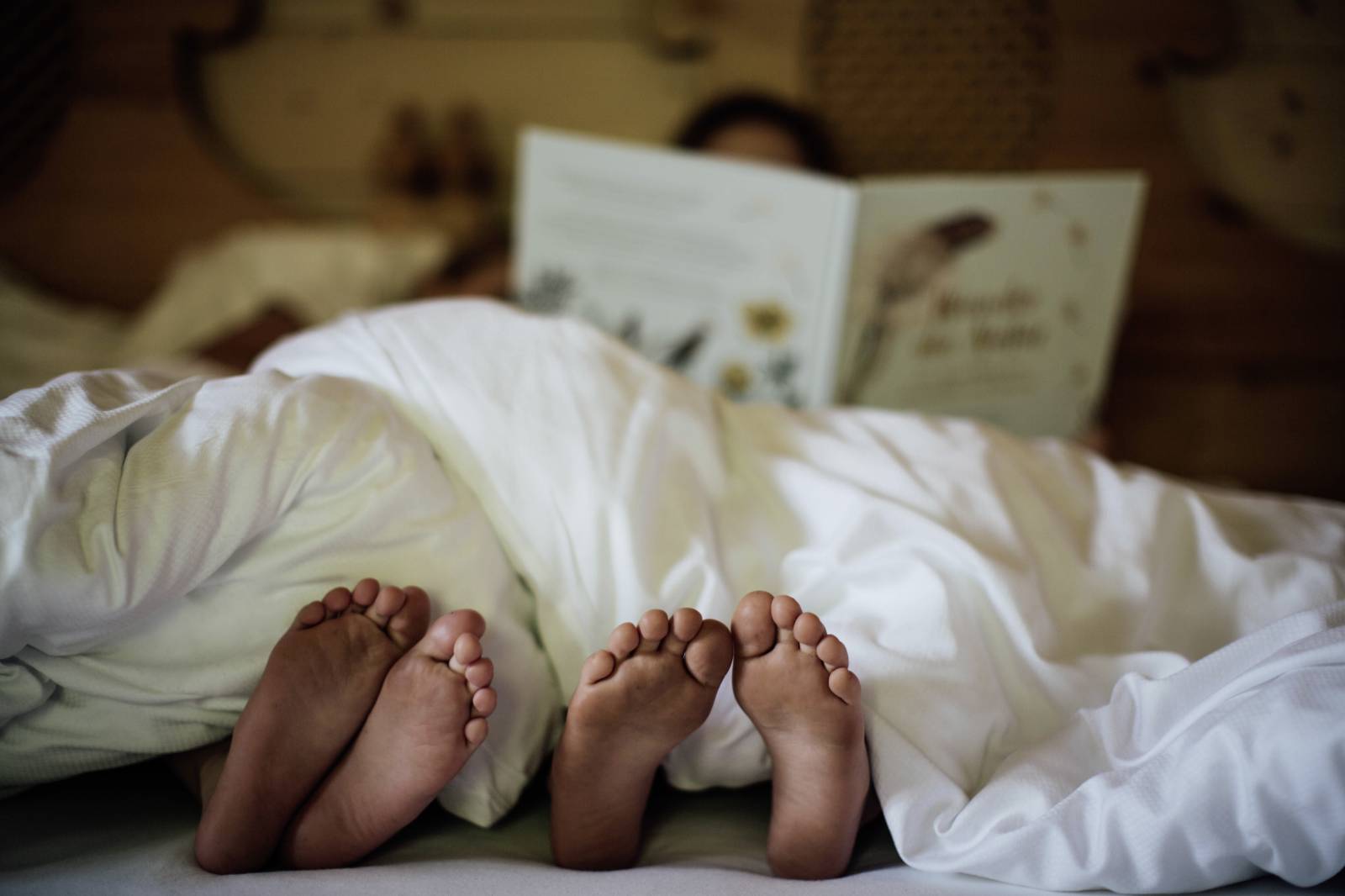 MOAR Alm - wo die Sterne zum Greifen nah sind Symbolfoto