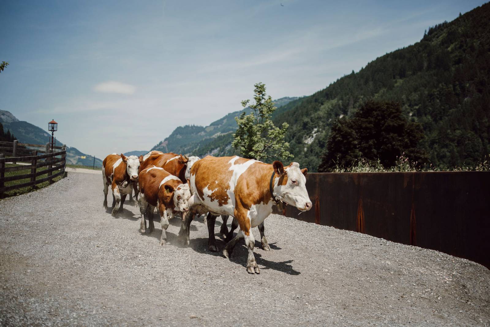 MOAR Regionalität Symbolfoto