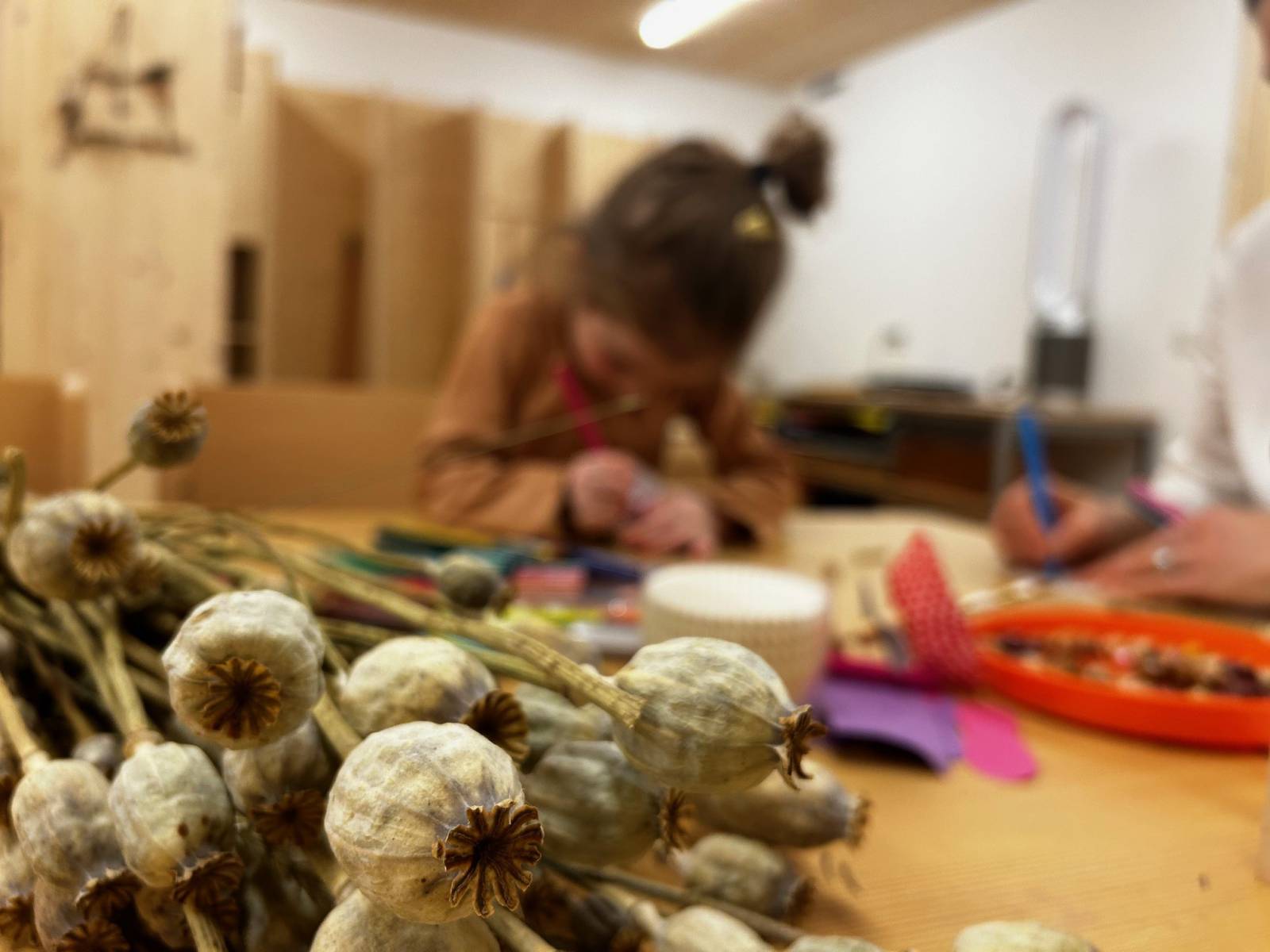 Zauberhafte Feen aus Mohnkapseln Symbolfoto