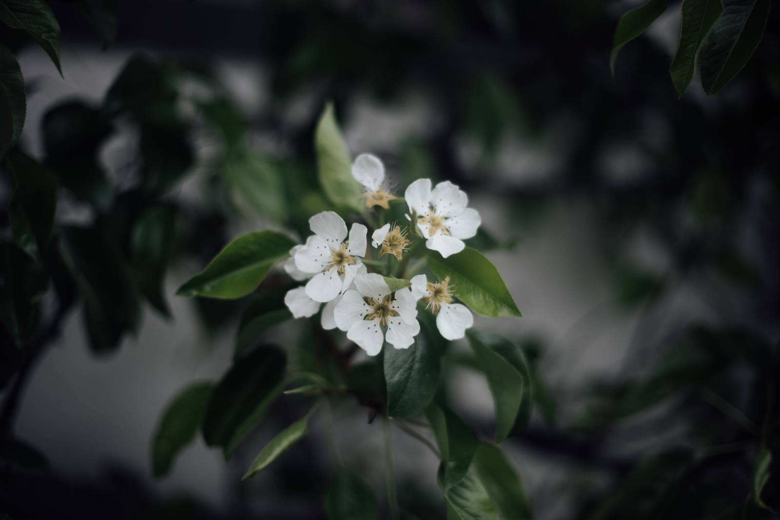 Aufgewacht, die Sonne lacht: Winterschlaf & Winterruhe Symbolfoto