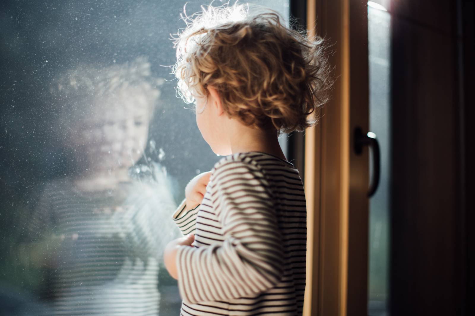 Aufgewacht, die Sonne lacht: Winterschlaf & Winterruhe Symbolfoto