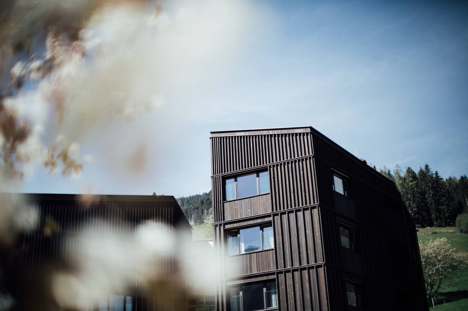 Aufgewacht, die Sonne lacht: Winterschlaf & Winterruhe Symbolfoto