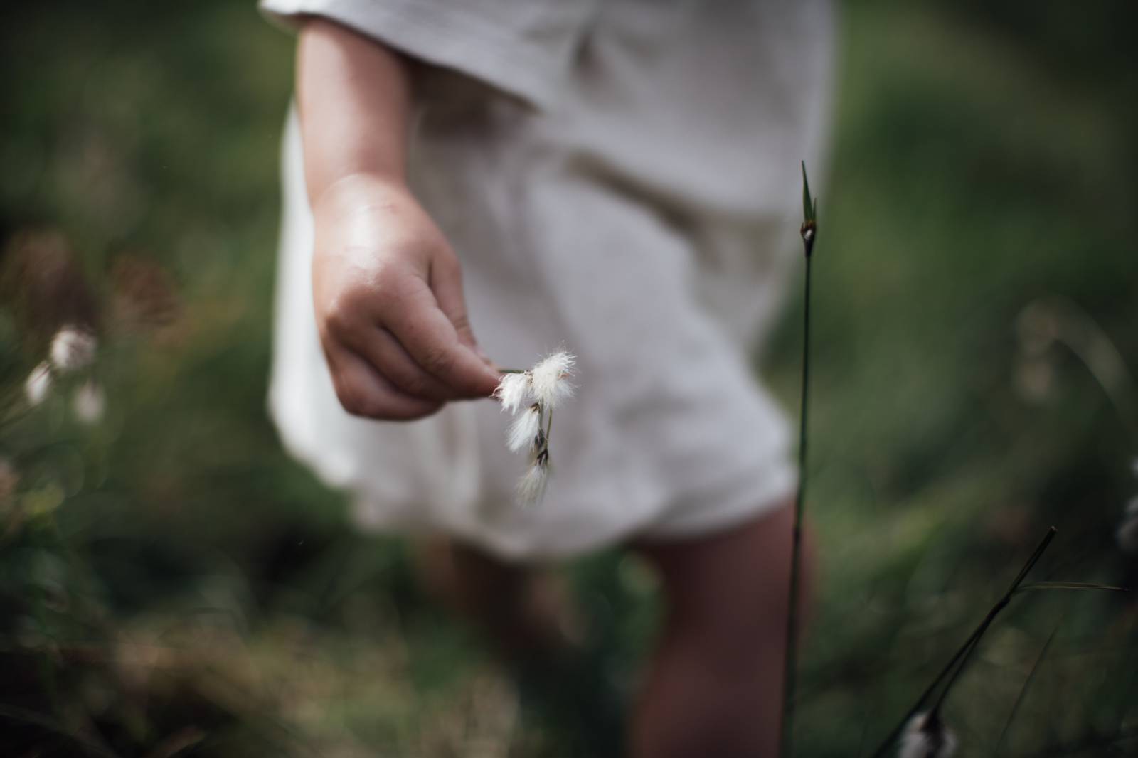 The healing power of herbs symbolic picture