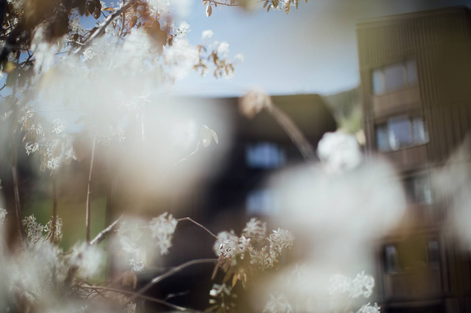 The healing power of herbs symbolic picture