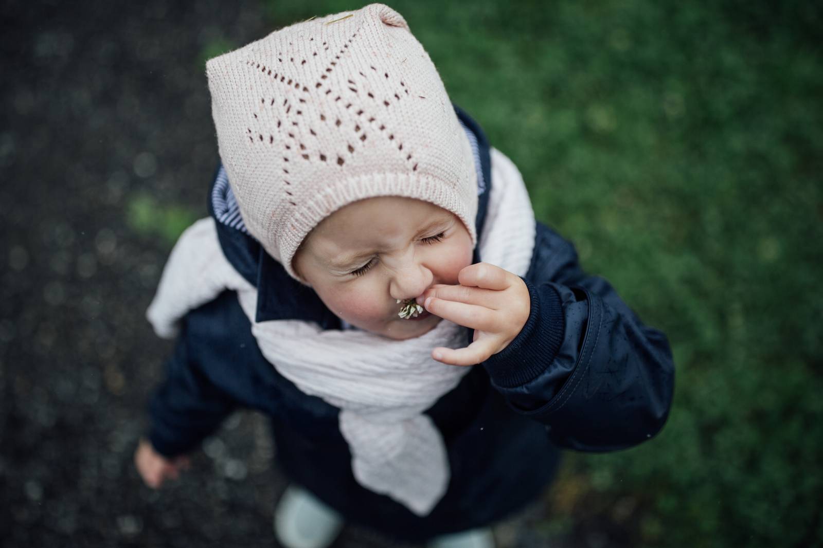 The healing power of herbs symbolic picture