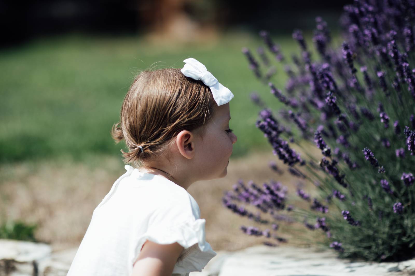 The healing power of herbs symbolic picture
