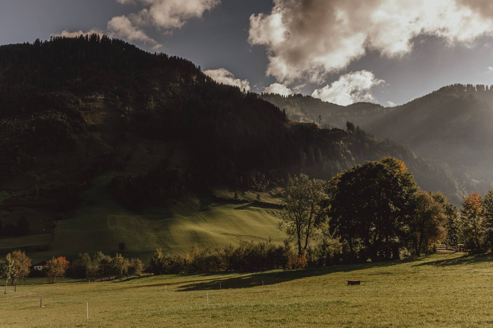 Goldene Herbsttage am Moar Gut Symbolfoto