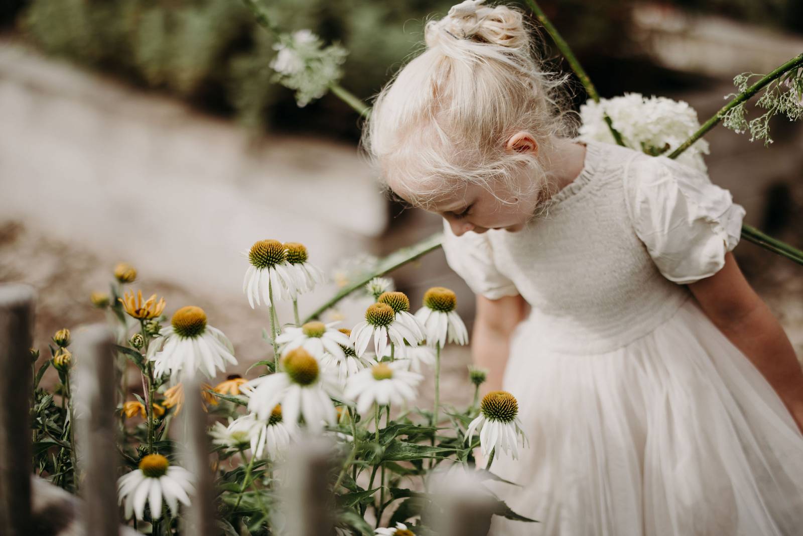 Butterfly wings made from natural materials symbolic picture