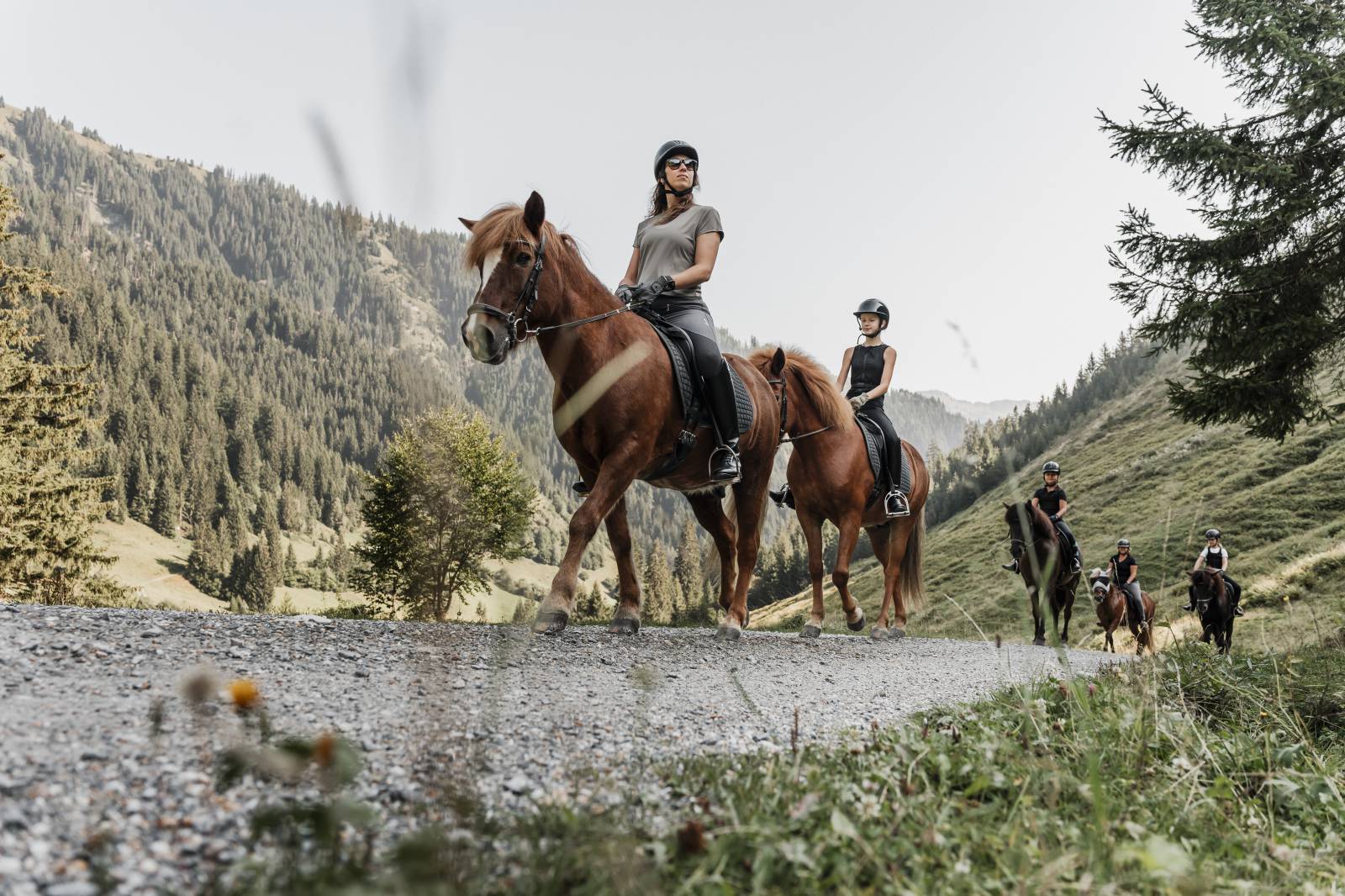 Trail ride to the mountain pasture symbolic picture