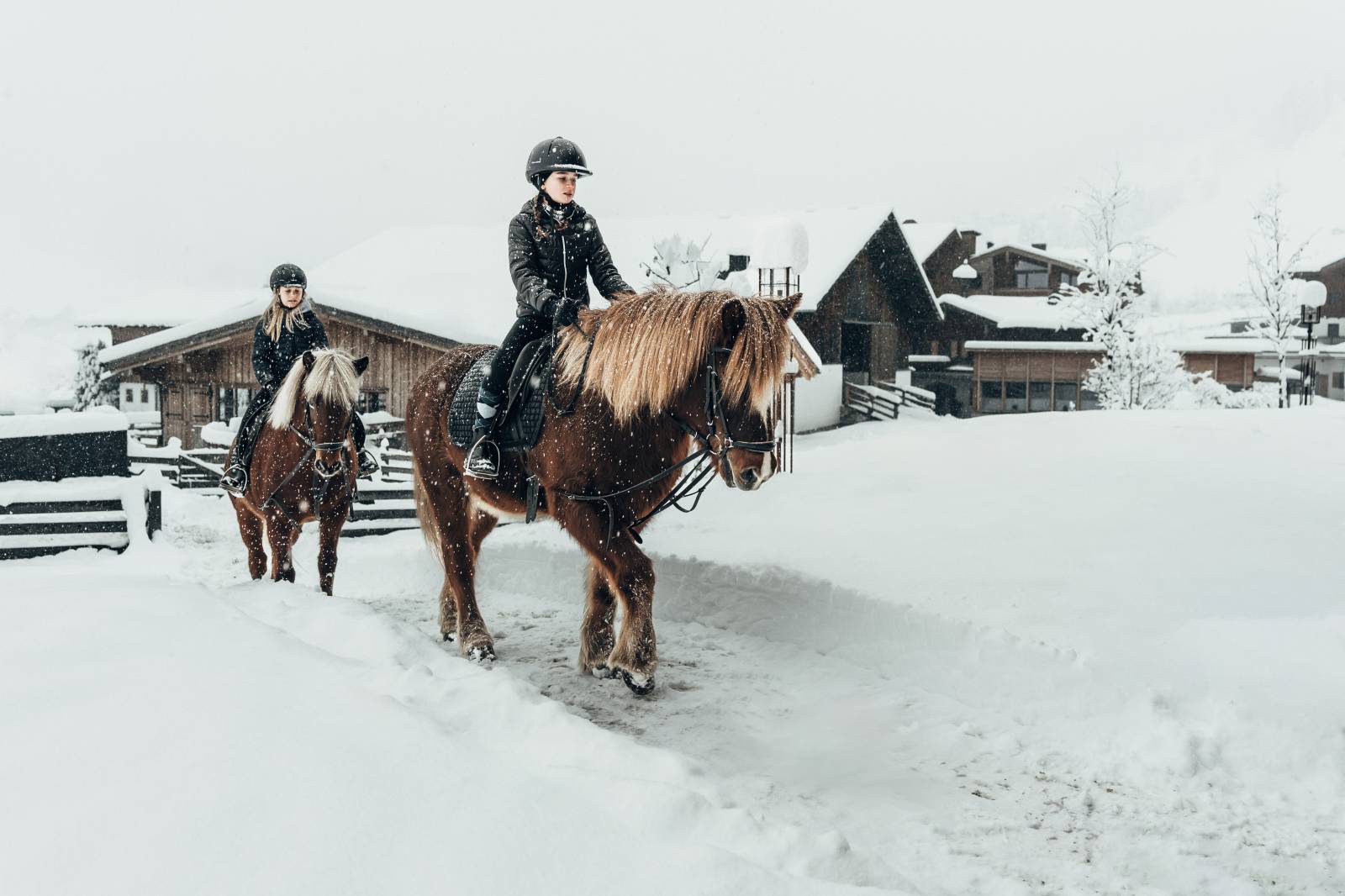 Reiten im Schnee Symbolfoto