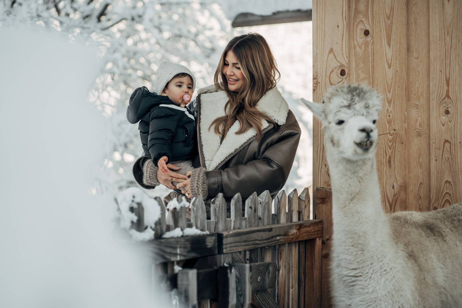 Die Tiere am Moar Gut Symbolfoto