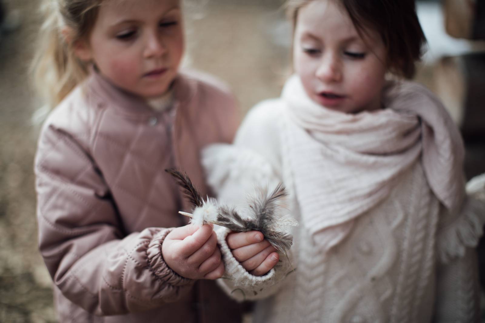 Die Tiere am Moar Gut Symbolfoto