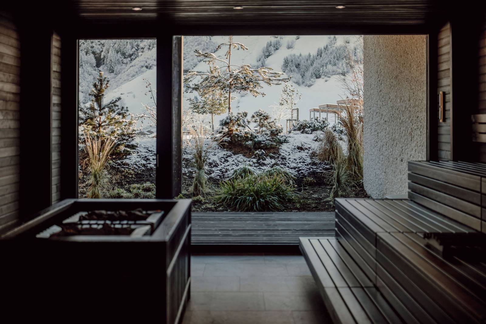 Infusions at Moar Gut symbolic picture