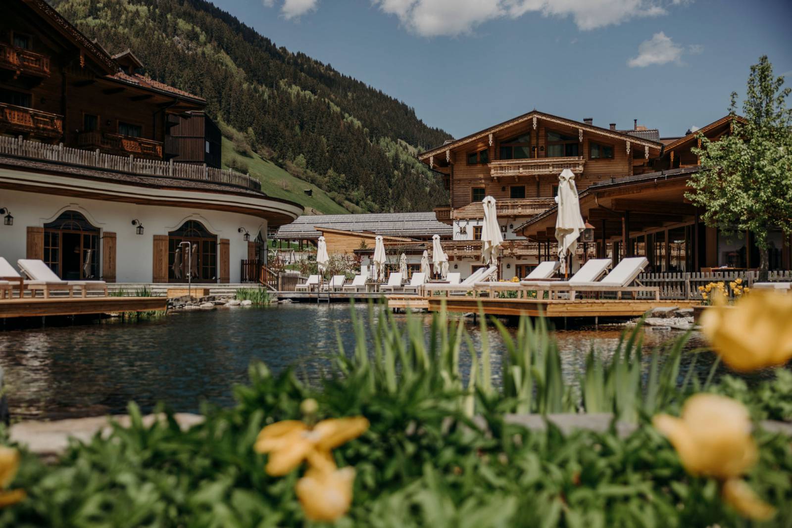 Spring awakening at the Moar Gut symbolic picture