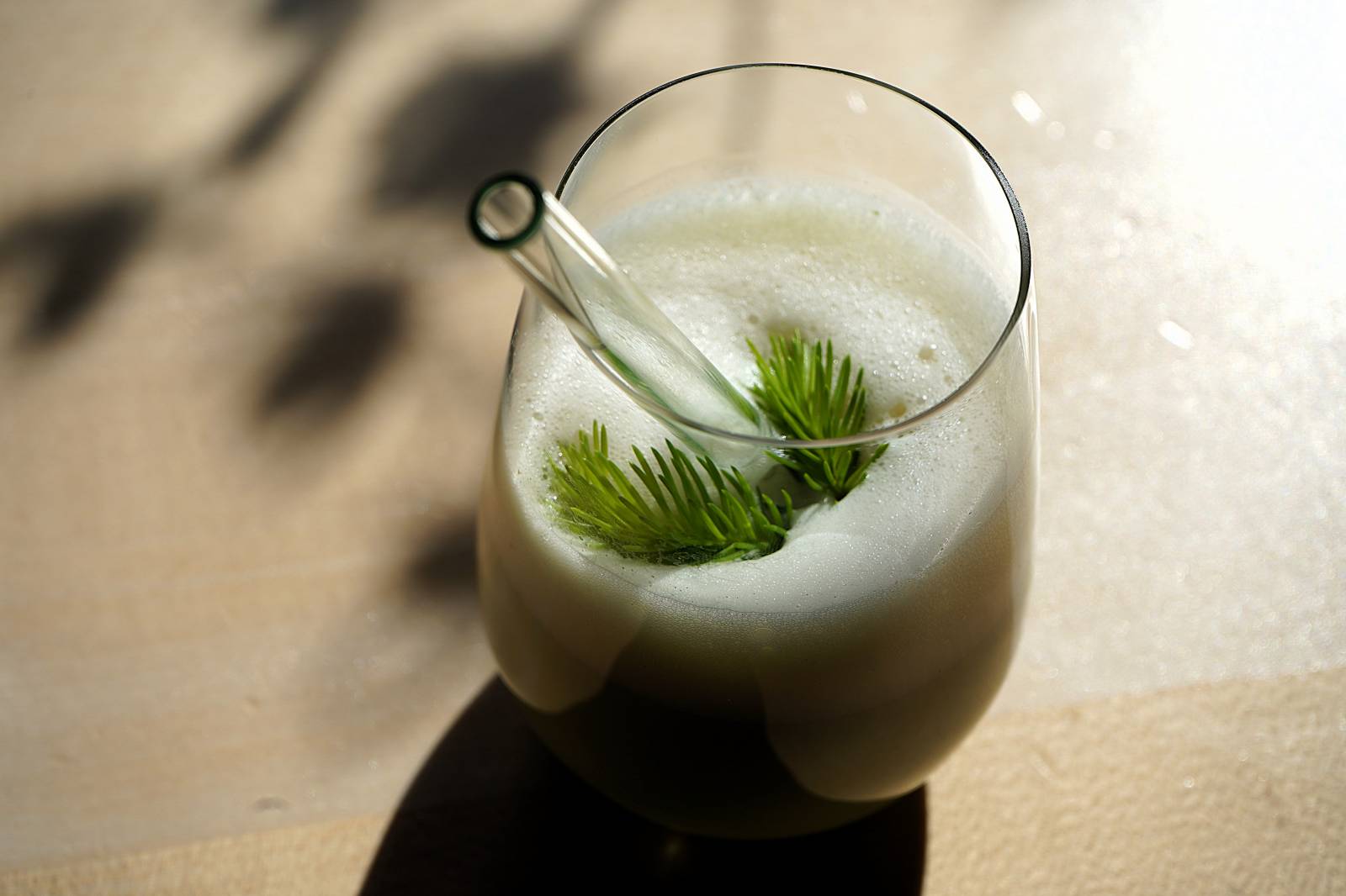 Wald Matcha Symbolfoto