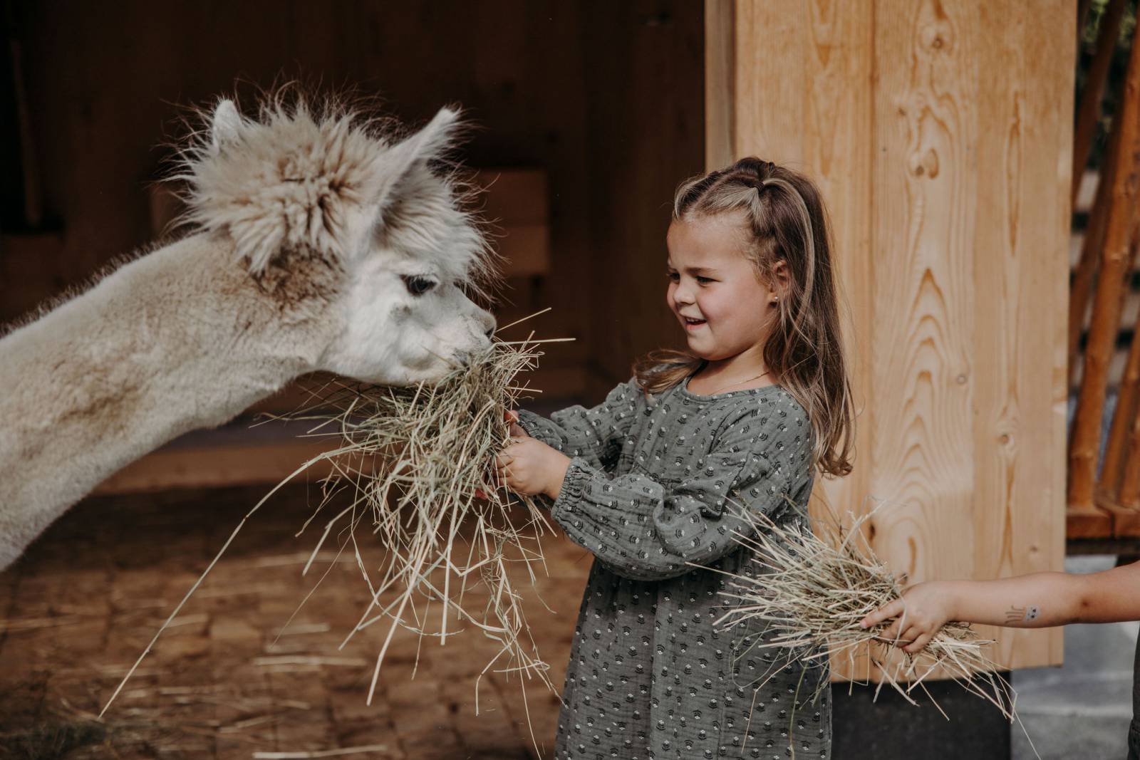 Unser Bauernhof Symbolfoto
