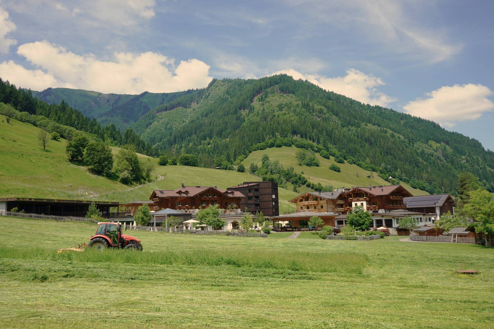 Hay harvest at Moar Gut symbolic picture