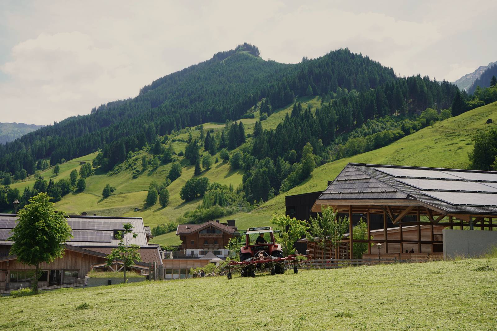 Hay harvest at Moar Gut symbolic picture