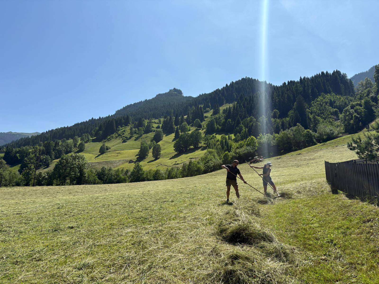 Hay harvest at Moar Gut symbolic picture