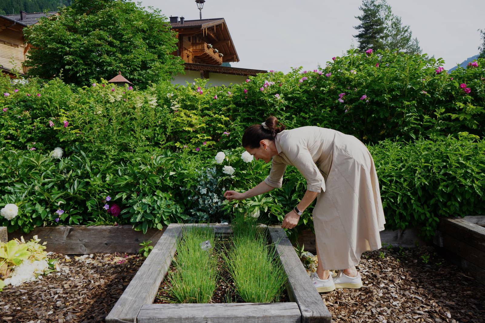 In the herb garden with Elisabeth Kendlbacher symbolic picture