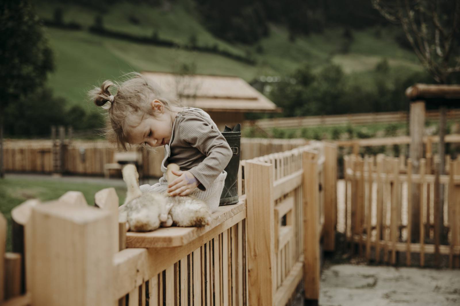 Bio Bauernhof Symbolfoto