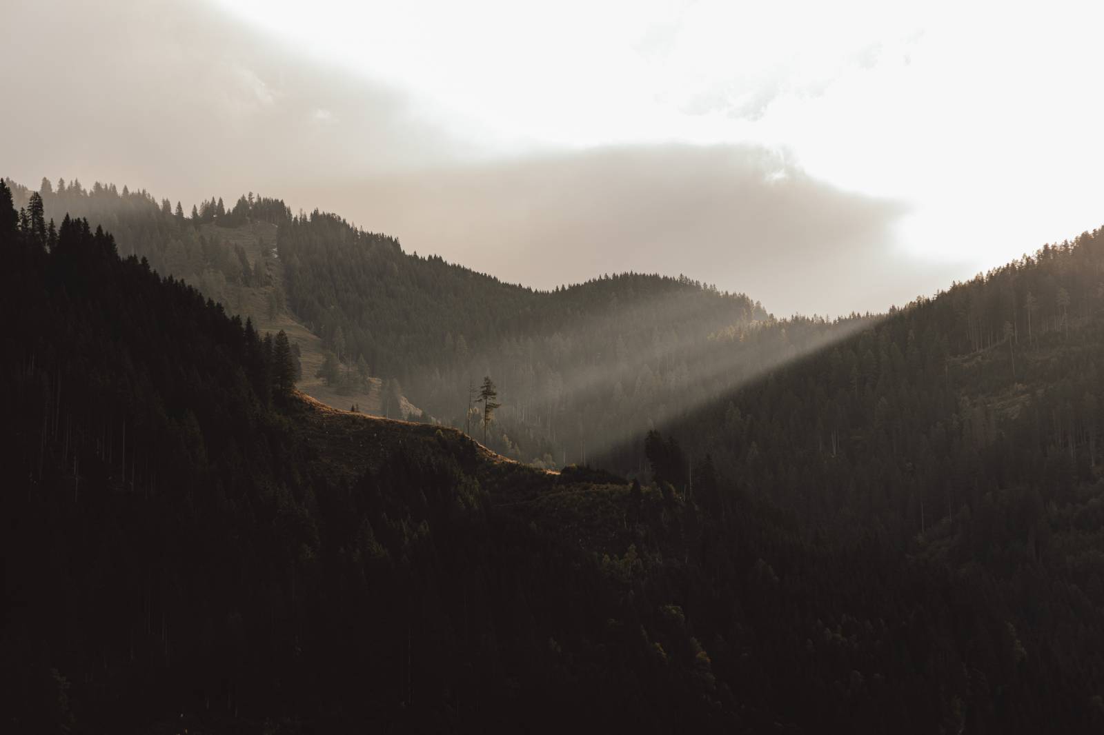 Herbstliebe Symbolfoto