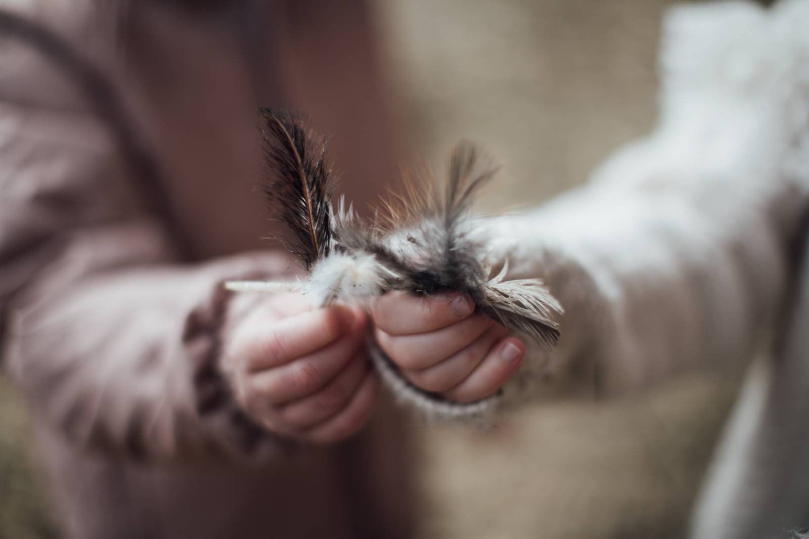 Herbstliebe Symbolfoto