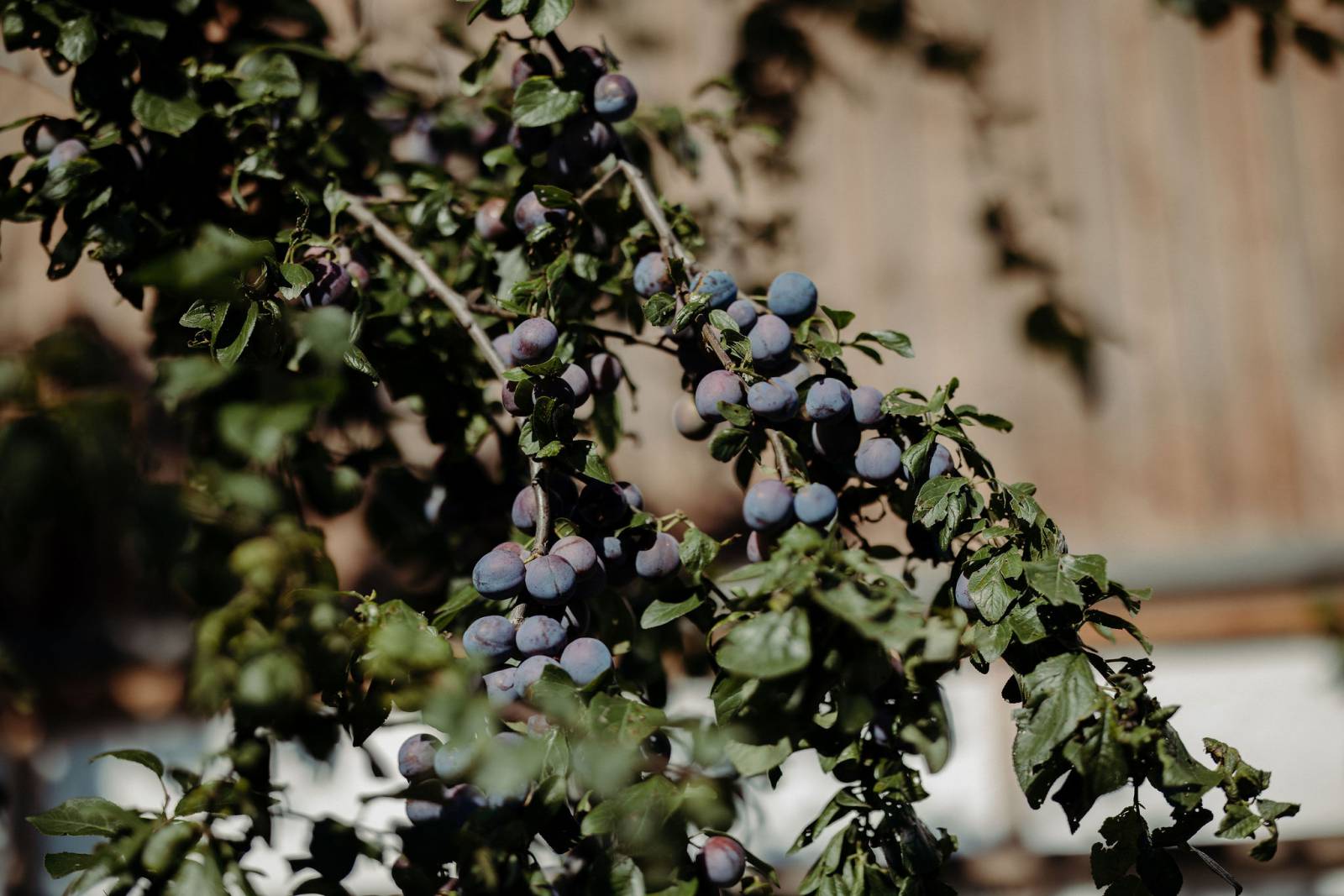 Urlaub im Einklang mit der Natur Symbolfoto