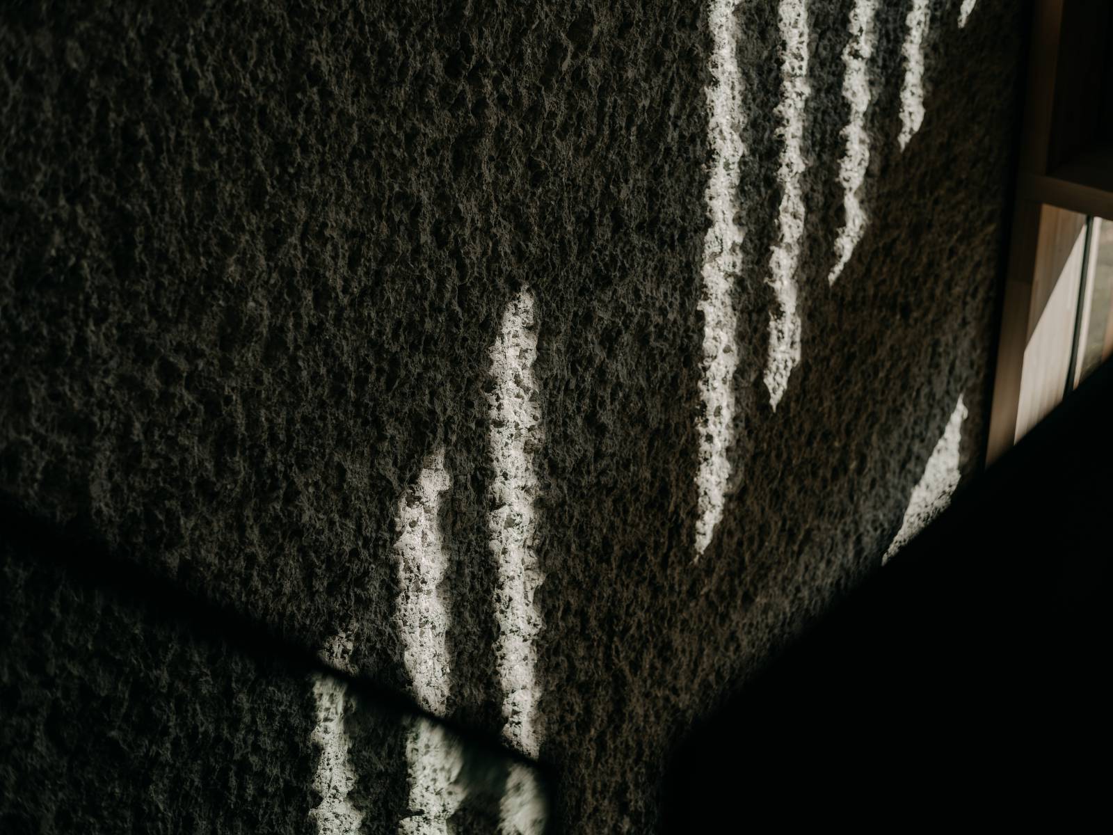 Wenn Architektur lebendig wird Symbolfoto