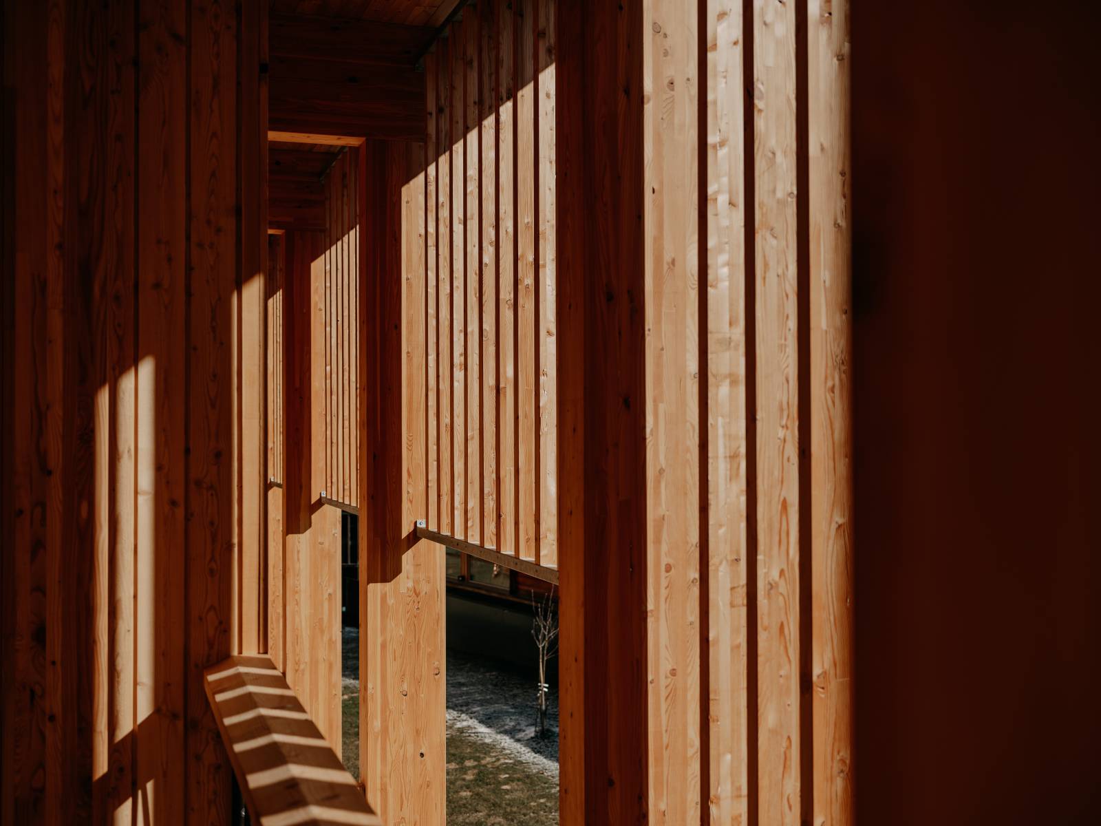 Wenn Architektur lebendig wird Symbolfoto