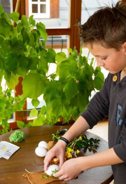bild1