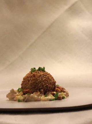 Sesame dumplings with chanterelle and gorgonzola sauce symbolic picture
