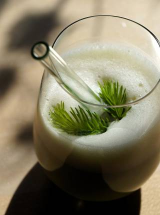 Wald Matcha Symbolfoto